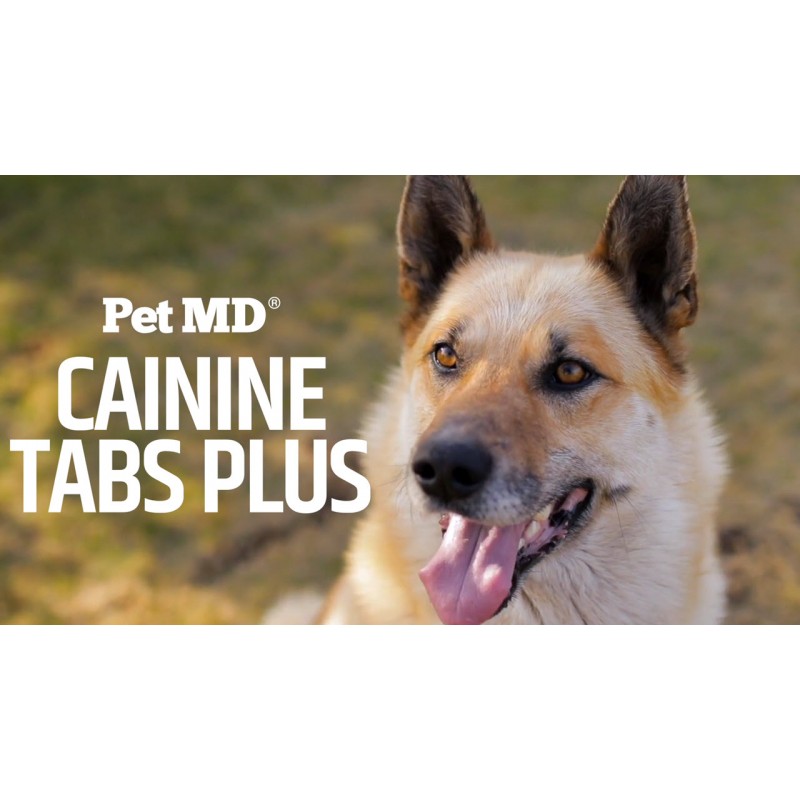 Pet MD - Canine Tabs Plus 365 Count - 개를 위한 고급 종합비타민 - 천연 일일 비타민 및 미네랄 영양 보충제 - 간 맛이 나는 츄어블 정제