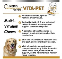 Vita-Pet Dog MultiVitamins 츄어블 - EPA, DHA, 항산화제가 함유된 일일 비타민 및 미네랄 21개 - 강아지의 면역 반응, 기분, 피부, 코트 및 전반적인 건강 지원 - 60 츄어블