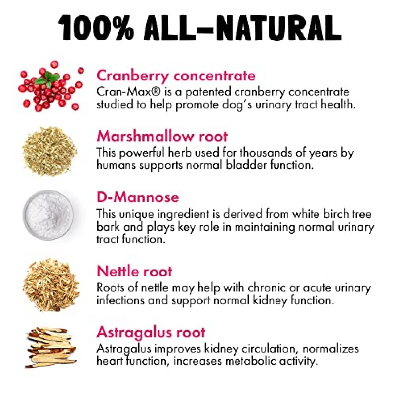 개용 크랜베리 ​​UTI 츄어블 방광 지원 + D-만노스 신장 요로 및 방광 건강 지원 천연 크랜베리 ​​웰니스 보조제 면역 시스템 부스터 천연 애완동물 항산화제 30개 츄어블