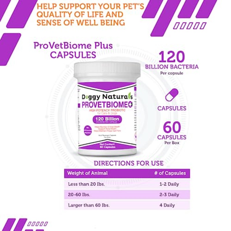 ProVetBiome Plus 고양이와 개를 위한 고효능 프로바이오틱스 보충제 제제(60캡슐) 미국산 - 냉장 보관 불필요!!