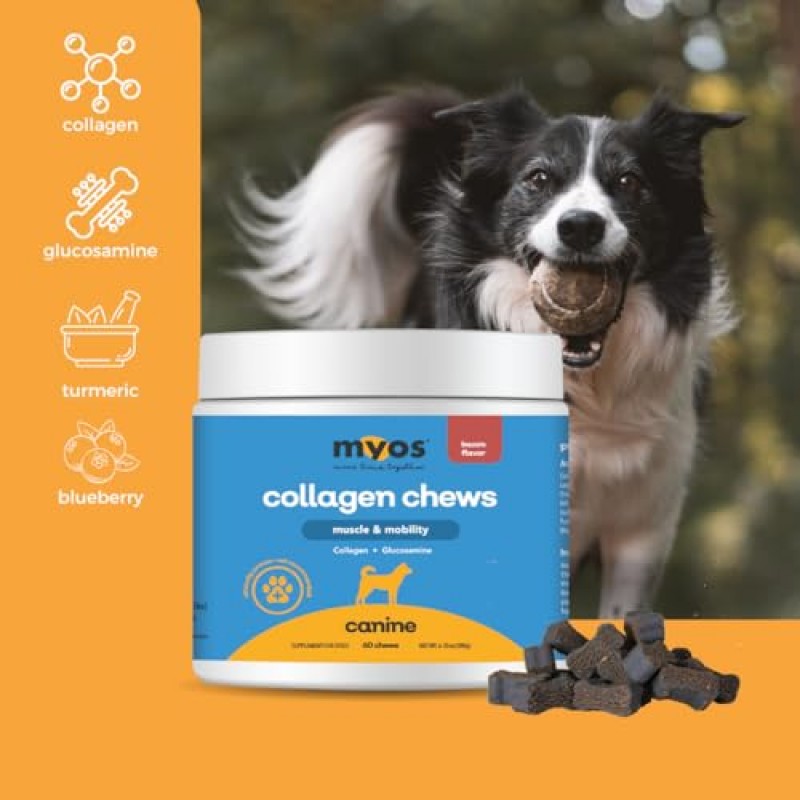 MYOS Canine Muscle & Mobility Chews – 개를 위한 천연 콜라겐 및 글루코사민 - 근육, 뼈 및 관절 지원을 위한 베이컨 맛 관절 보충제, 60개