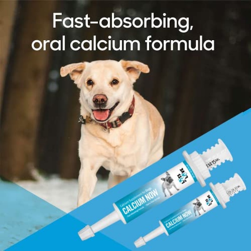 Calcium Now - 분용견용 경구 칼슘 - (15 ml 페이스트, 바닐라) - 개용 칼슘 보충제 - 사육자 친화적인 개용 칼슘 - 많은 사랑을 받는 애완동물 제품