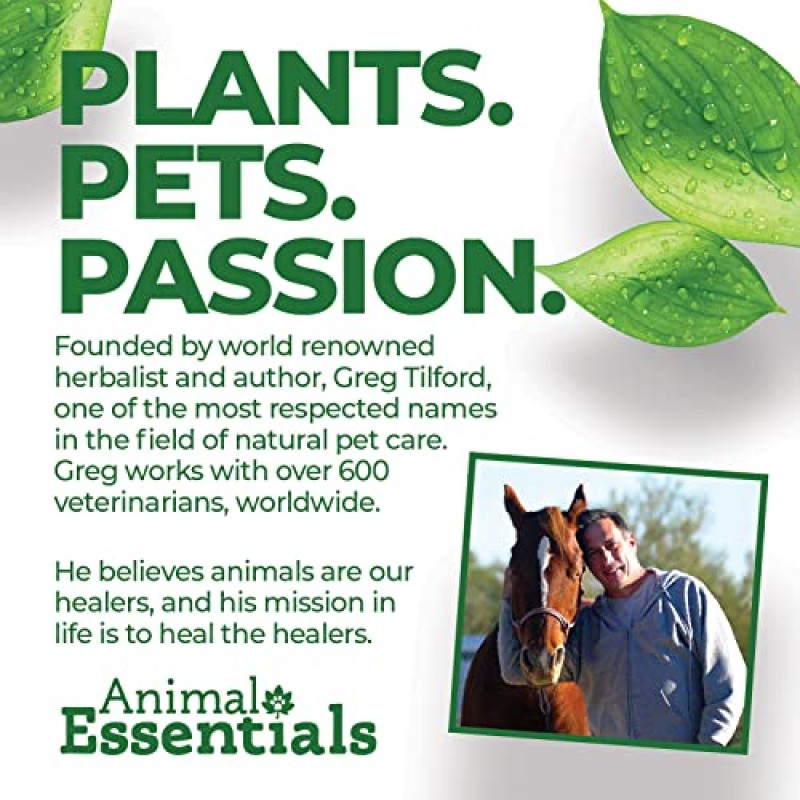 Animal Essentials 개와 고양이를 위한 신선한 호흡 및 일일 소화/소화 지원, 1 액량 온스 - 미국산 유기농 생강 및 민트, 무알코올