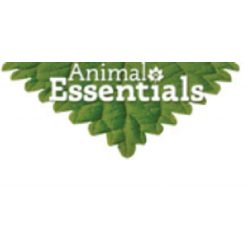 Animal Essentials 개와 고양이를 위한 신선한 호흡 및 일일 소화/소화 지원, 1 액량 온스 - 미국산 유기농 생강 및 민트, 무알코올