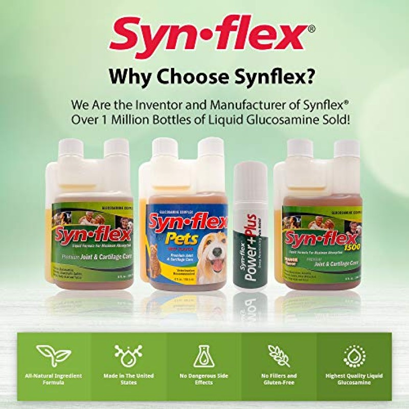 애완동물을 위한 Synflex America - 개, 고양이용 액상 글루코사민 관절 복합체 - 노령견 및 고양이 콘드로이틴 주스 관리 보조제 - 관절 및 연골 건강 지원에 도움 - 쇠고기 맛