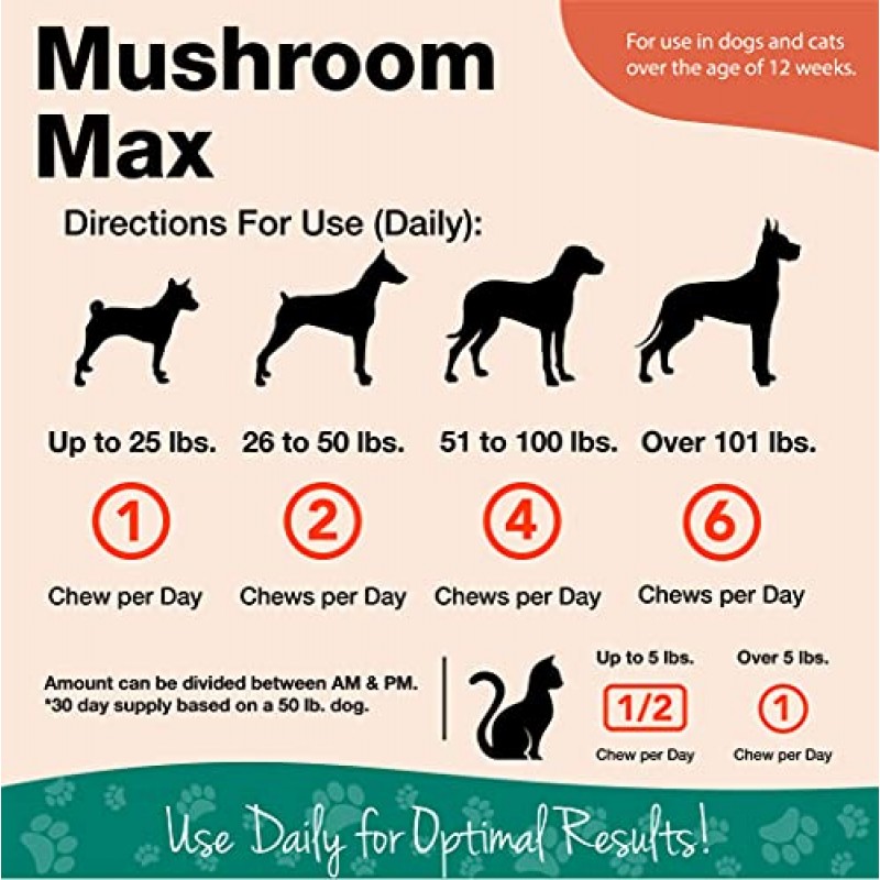 NaturVet Mushroom Max 고급 면역 지원 개 보조제 – 면역력 강화, 개의 전반적인 건강에 도움 – 표고버섯, 영지, 칠면조 꼬리 포함 – 60 Ct.