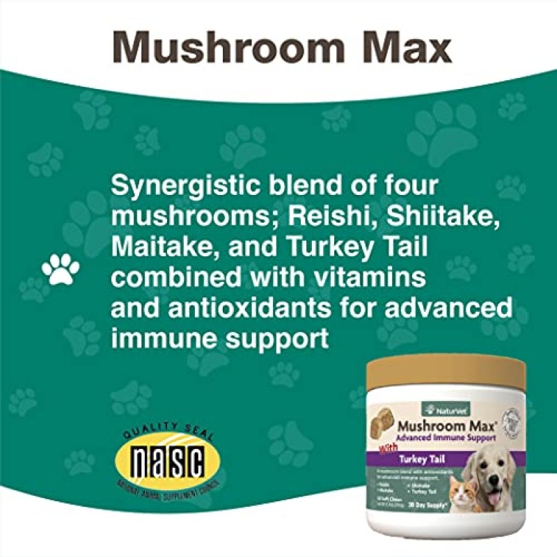 NaturVet Mushroom Max 고급 면역 지원 개 보조제 – 면역력 강화, 개의 전반적인 건강에 도움 – 표고버섯, 영지, 칠면조 꼬리 포함 – 60 Ct.