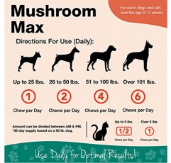 NaturVet Mushroom Max 고급 면역 지원 개 보조제 – 면역력 강화, 개의 전반적인 건강에 도움 – 표고버섯, 영지, 칠면조 꼬리 포함 – 60 Ct.