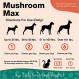 NaturVet Mushroom Max 고급 면역 지원 개 보조제 – 면역력 강화, 개의 전반적인 건강에 도움 – 표고버섯, 영지, 칠면조 꼬리 포함 – 60 Ct.