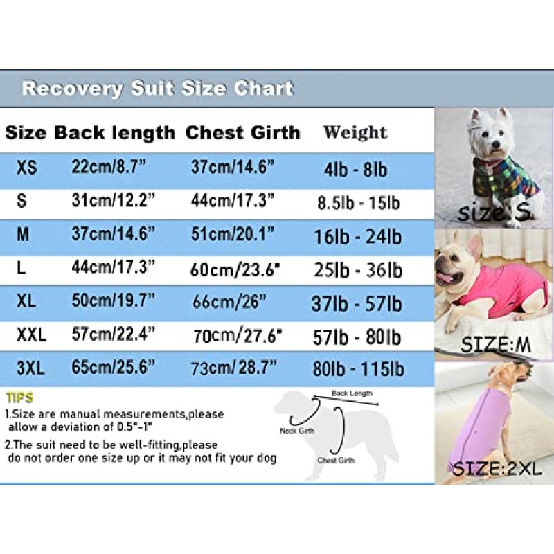 Caslfuca 개 수술 회복복 - 중성화 후, 복부 상처 수술 후 회복, 소형, 중형 및 대형 애완동물을 위한 핥기 방지 통기성 개 원피스, 대체 붕대 콘 E-칼라