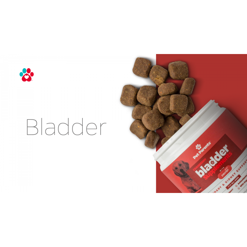 Pet Parents® Bladder SoftSupps® 크랜베리 ​​보충제(개용 Pacran, D-만노스 및 개용 호박씨 포함) UTI 지원, 개 요실금 지원 및 개 신장 지원, 90ct