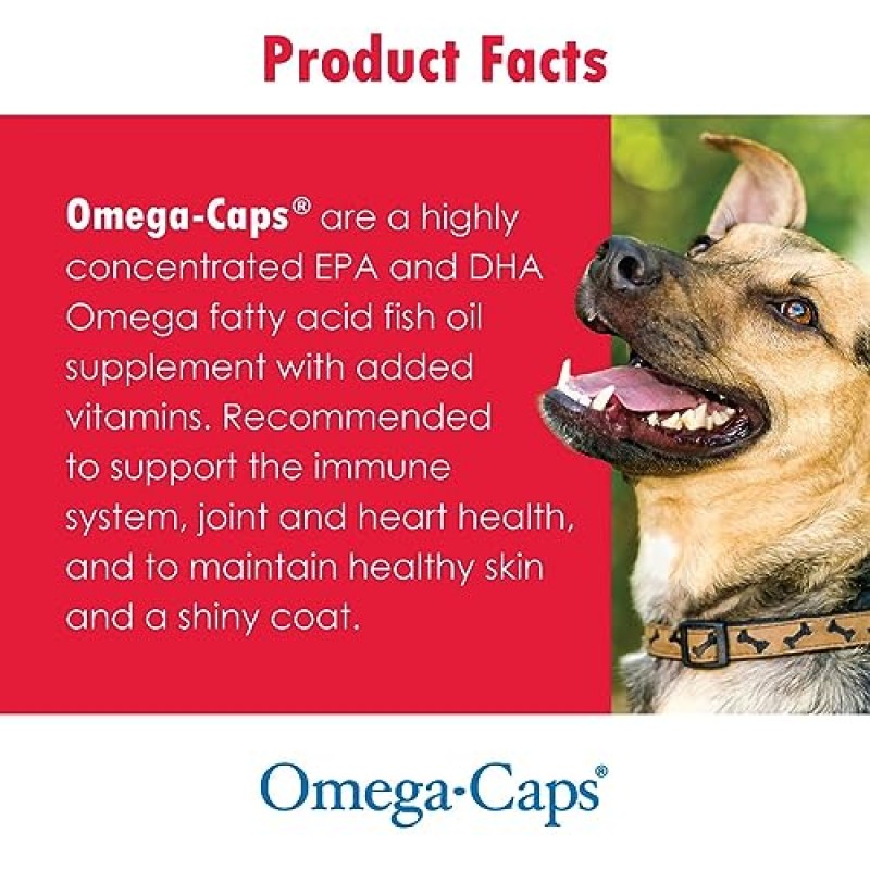 고양이와 개를 위한 Omega-Caps Extra Strength Liquid. 건강하고 빛나는 피부와 털을 위해 수의사가 제조하여 과도한 털빠짐을 줄입니다. 관절, 심장 및 면역 시스템 지원을 위한 EPA, DHA 및 오메가 3가 포함되어 있습니다. 16 온스.