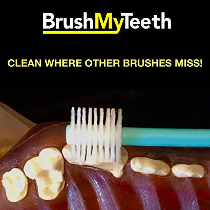 Brush My Teeth 중형견 칫솔 - 둥근 브러시 헤드 - 부드럽고 유연한 강모 - 강아지, 모든 중견종 또는 강아지를 위한 안전하고 부드러운 칫솔질을 위해 매일 칫솔질하면 건강한 삶이 수년 더 늘어납니다.