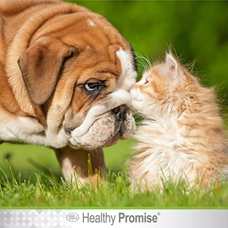 Four Paws Healthy Promise 애완동물 눈 물티슈 35개입