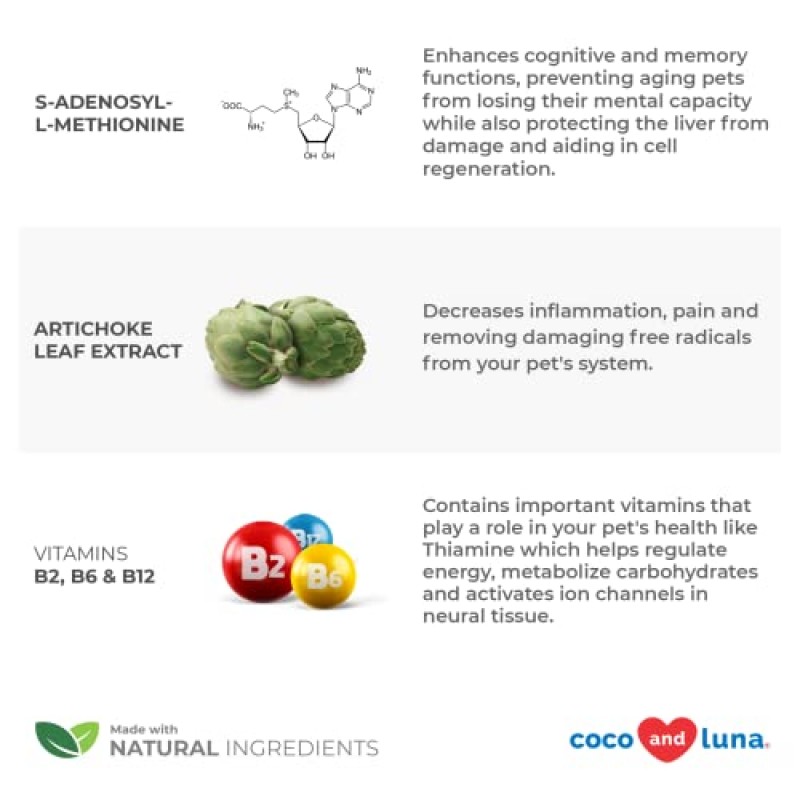개를 위한 동일 - S-아데노실-L-메티오닌, Same 프리미엄, 개를 위한 간 보조제, 개를 위한 두뇌 보조제, 인지 지원 촉진, 개 간 지원 보조제