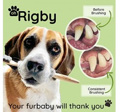 OH RIGBY 애견 칫솔 - 민감한 반려동물의 치아와 잇몸을 위한 매우 부드러운 칫솔모 10,000개 - 편안하고 부드러운 딥 클렌징을 위한 천연 대나무 칫솔