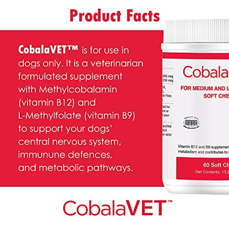 중형 및 대형견을 위한 건강한 애완동물 CobalaVet 비타민 B12 및 B9 - 신경계, 뇌 기능, 면역 방어 및 세포 성장 지원 - 혈액 세포 형성 - 대사 경로 - 부드러운 씹기