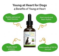 Pet Wellbeing Young at Heart for Dogs - 수의사 제조 - 심장(심혈관) 건강 지원 - 천연 허브 보조제 2oz(59ml)