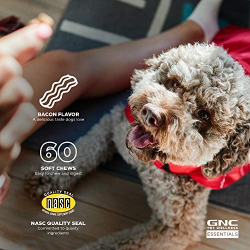 GNC for Pets Essentials 개를 위한 고관절 및 관절 보조제 | 60ct 소프트 츄 고관절 보조제 강황 함유 소프트 츄 | 성견용 치킨 맛 엉덩이 및 관절 보충제 (FF15593)