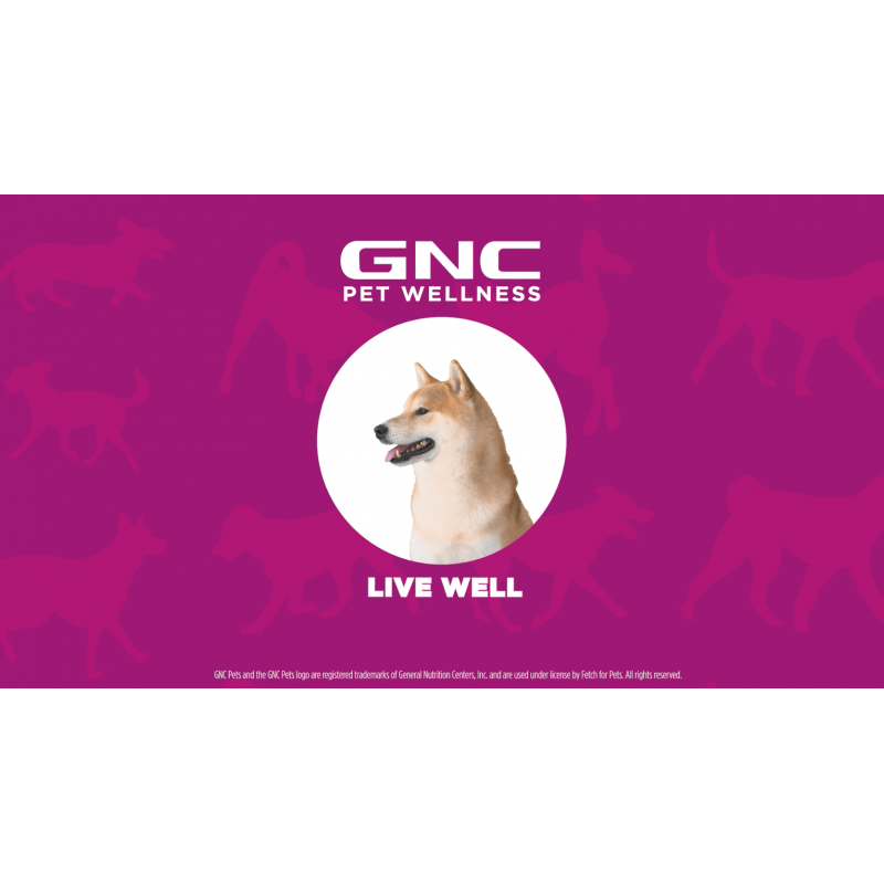 GNC for Pets Essentials 개를 위한 고관절 및 관절 보조제 | 60ct 소프트 츄 고관절 보조제 강황 함유 소프트 츄 | 성견용 치킨 맛 엉덩이 및 관절 보충제 (FF15593)