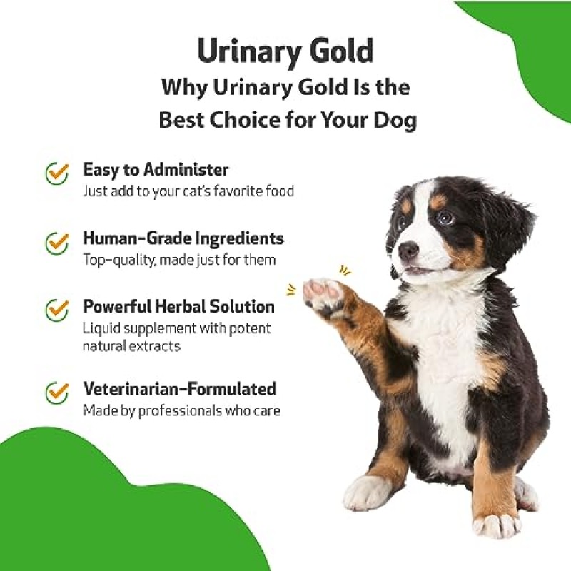 반려견을 위한 Pet Wellbeing Urinary Gold - 수의사 제조 - 반려견 요로 건강, 정상적인 요로 pH 지원 - 천연 허브 보충제 2oz(59ml)