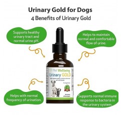 반려견을 위한 Pet Wellbeing Urinary Gold - 수의사 제조 - 반려견 요로 건강, 정상적인 요로 pH 지원 - 천연 허브 보충제 2oz(59ml)