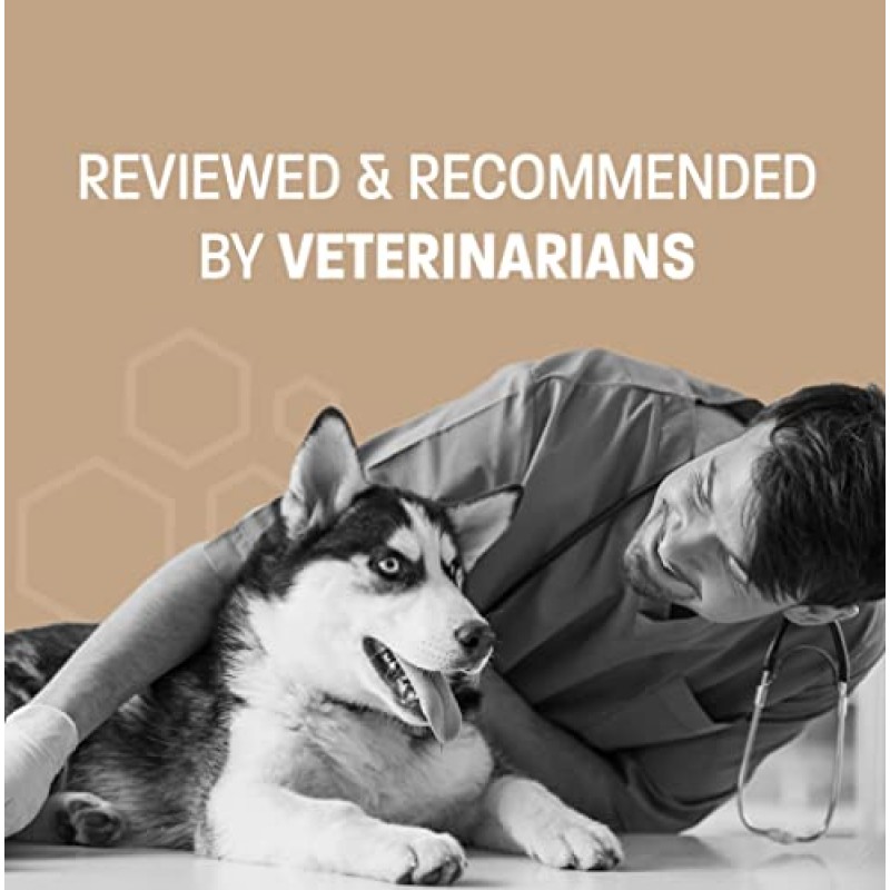 Pet Health Pros K-9 프로 개용 관절 보조제 - MSM 및 콘드로이틴 함유 개용 글루코사민 - 고관절 및 관절 보조제 애견 관절염 - 베이컨 맛, 60ct