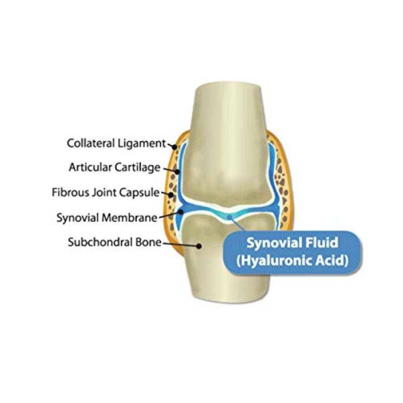 개 관절 보조제, 개용 히아로직 히알루론산 관절 보조제, HyaFlex - 30-60일분, 1oz HA 개 관절 보조제, 연골 보조제 및 개 코트 보조제, 번거롭지 않은 액체 점적기 포함