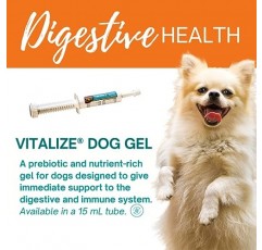 Vitalize Dog Gel - 수술 후 회복 및 프로바이오틱스 대체 면역 지원 부스터 보충제(개 소화기 및 내장 건강) (15 ml)