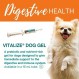 Vitalize Dog Gel - 수술 후 회복 및 프로바이오틱스 대체 면역 지원 부스터 보충제(개 소화기 및 내장 건강) (15 ml)