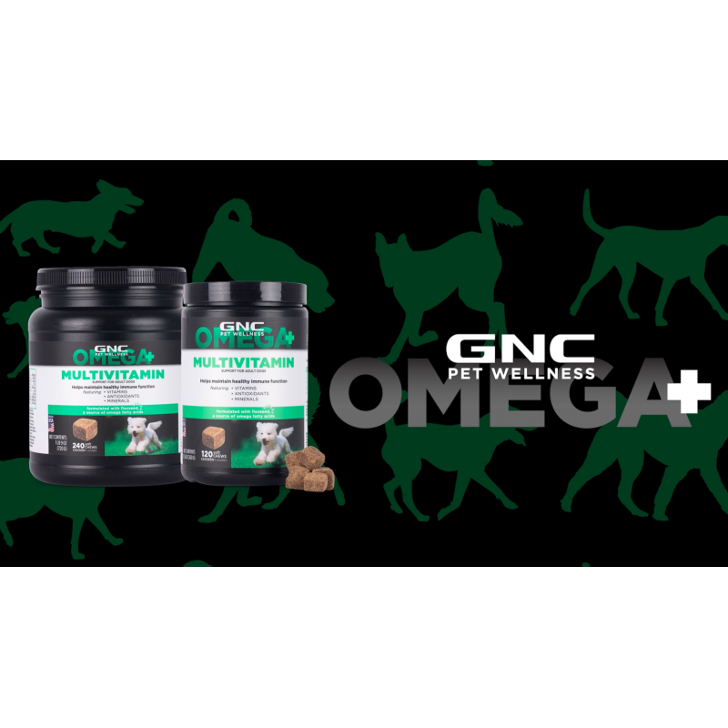 GNC Pets 오메가 지방산 및 아마씨가 함유된 성인견용 오메가 종합비타민 반려견 보조식품, 240ct|비타민, 항산화제 및 미네랄이 함유된 닭고기 맛 소프트 츄 반려견용 종합비타민(FF14950)