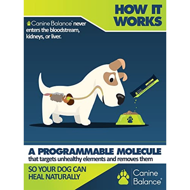 소화 건강을 개선하고, 에너지 수준을 높이고, 면역 및 관절 지원을 제공하는 개를 위한 Canine Balance 프리미엄 건강 보조식품 - 100% 천연 및 유기농 - 30일 공급 - 2.6 oz.