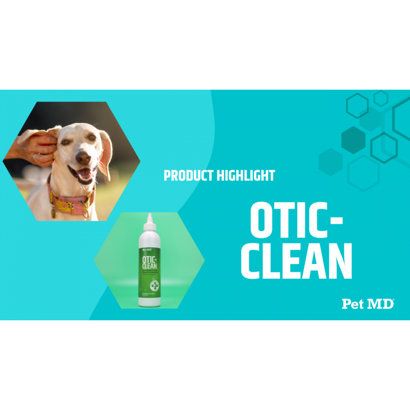 Pet MD Otic-Clean 개 귀 세정제 - 개와 고양이를 위한 수의사가 제조한 귀 세정제 - 가려움증, 냄새 및 왁스 축적을 위한 애완동물 귀 세정제 - 탈취 고양이 귀 세정제 솔루션 - 1 갤런