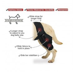 내 보조기 개 무릎 받침대 찢어진 ACL CCL 관절통 근육통 염증(대형)에 대한 뒷다리 십자인대 부상
