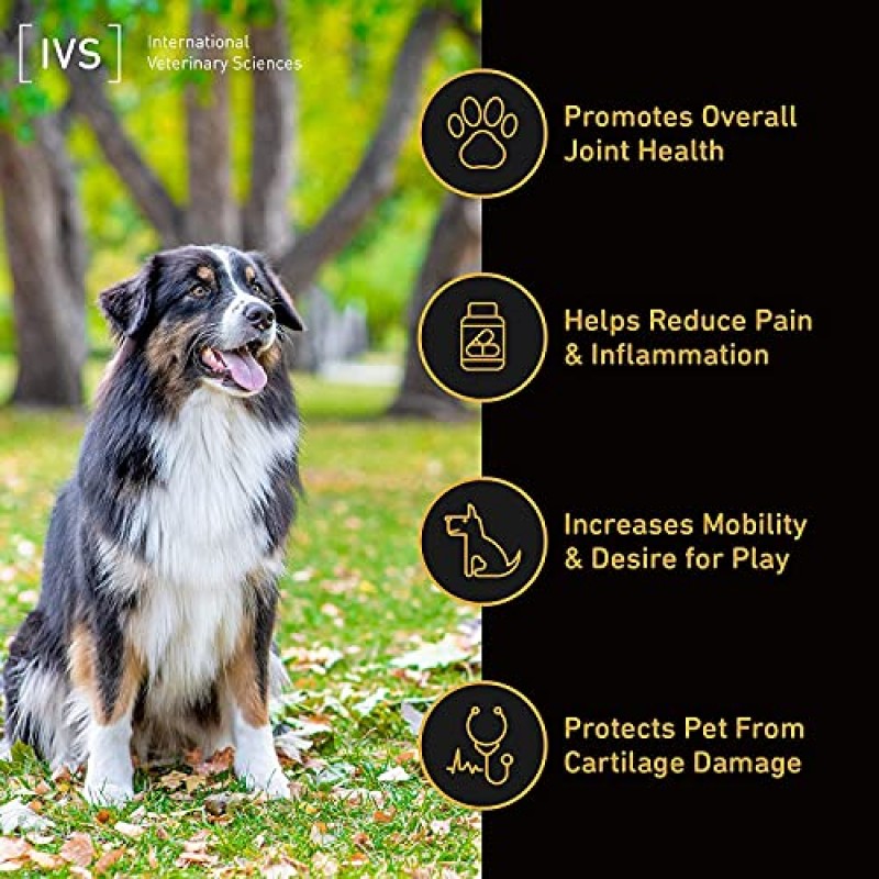 International Veterinary Sciences IVS Arthramine MAX 생선 기름, 히알루론산, MSM 및 비타민 C가 함유된 개를 위한 건강한 관절 글루코사민 보충제, 미국산, 60개