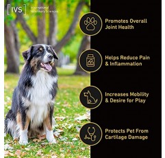 International Veterinary Sciences IVS Arthramine MAX 생선 기름, 히알루론산, MSM 및 비타민 C가 함유된 개를 위한 건강한 관절 글루코사민 보충제, 미국산, 60개