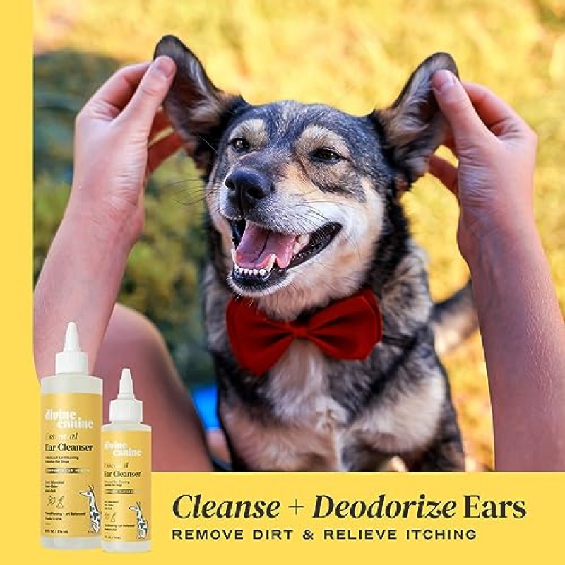 Divine Canine Essential Ear Cleanser - 개 귀 청소기 - 애완동물 귀를 진정시키고 보호합니다 - 개 손질 - 왁스 제거 및 탈취 - 알로에, 카모마일, 글리세린, 글리콜산 - 개를 위한 귀 건강 - 8온스