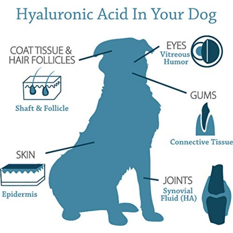 Canine Hyaluronic Acid + Zinc by Hyalogic - 관절 및 면역 지원, HyaFlex Pro Pure 8oz - 액상 경구용 HA 반려견 및 애완동물 보조식품