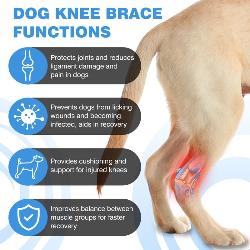 JUANWAN 개 무릎 보호대 개 다리 보호대 - 개 비절 및 발목 지원 찢어진 ACL 및 CCL 개 보호대 관절염으로 인한 안정성 상실 회복에 적합한 개 보호대 1 쌍(M)