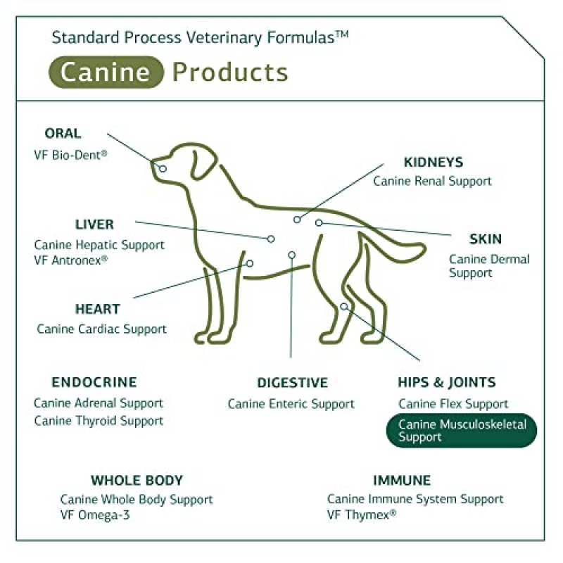 표준 과정 - 개 근골격 지원 - 개를 위한 뼈, 관절, 근육, 힘줄 및 인대 지원 - 20 그램