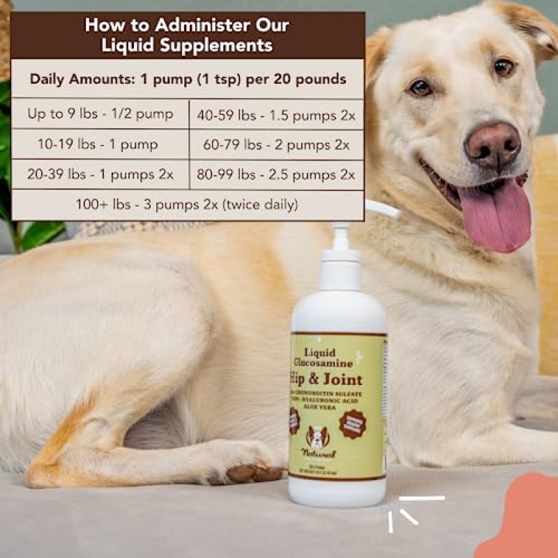 Natural Dog Company 건강한 관절, 개를 위한 피부 및 외투 번들, 포함 사항: (1) 16온스 병 피부 및 코트 오일, (1) 16온스 병 액체 글루코사민, 식품 토퍼, 개 생선 기름 보충제