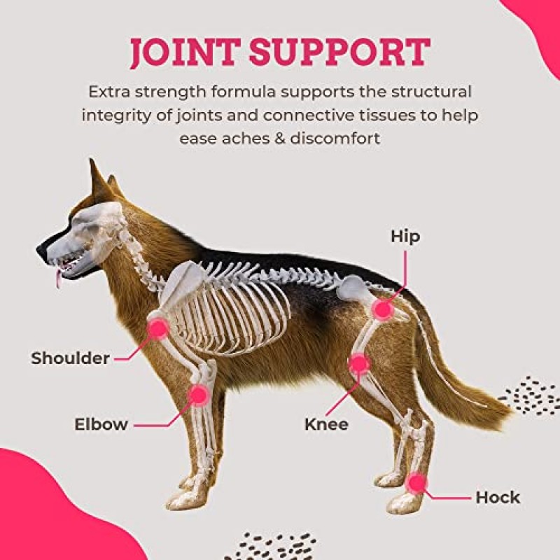 개를 위한 글루코사민, 개를 위한 고급 고관절 및 관절 보조제 소프트 츄 240개 이동성 지원을 위한 콘드로이틴 및 MSM 함유 개를 젊게 유지 – 맛있는 맛