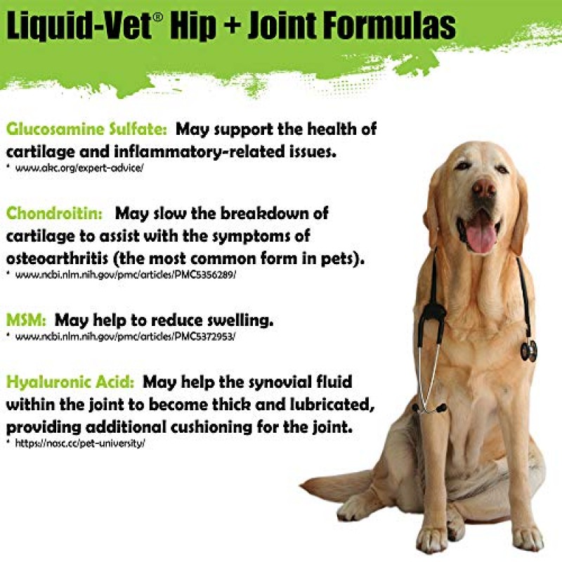 COOL PET Holistics K9 고관절 및 관절 고급 포뮬러의 Liquid-Vet, 베이컨 맛, 8온스 BOGO 시험 팩