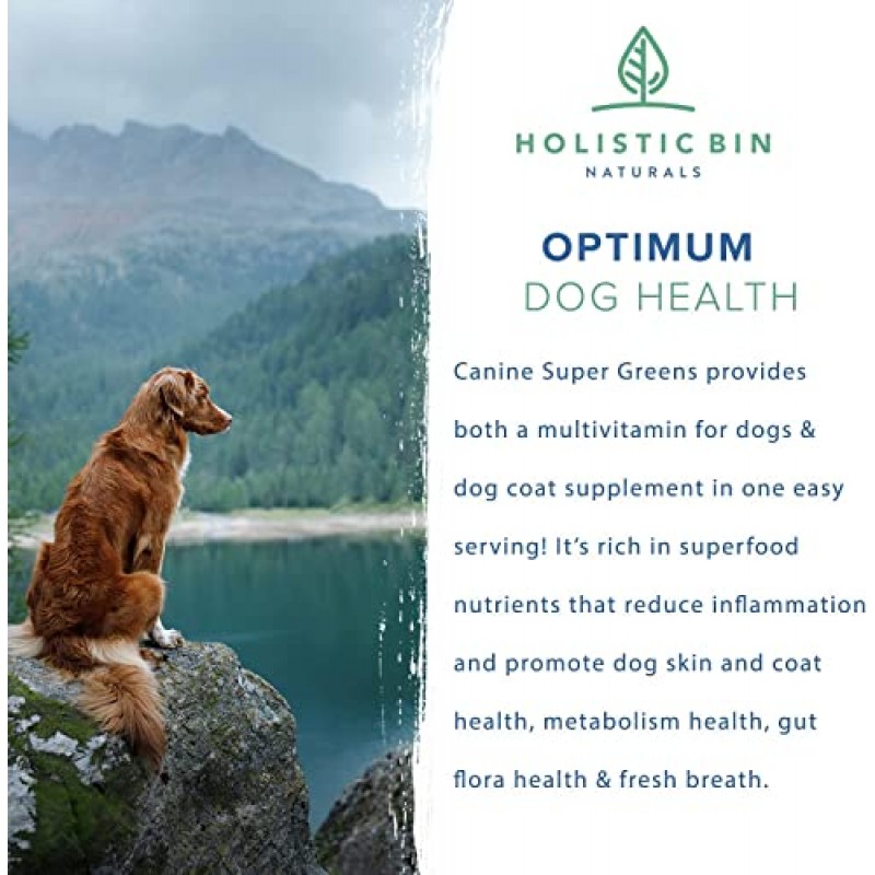 Holistic Bin의 Canine Super Greens | 해양 식물성 플랑크톤, 스피루리나, 클로렐라 및 발효 보리잎이 함유된 비건 반려견 영양 보충제 | 유기농 피부 및 코트 지원(50그램)