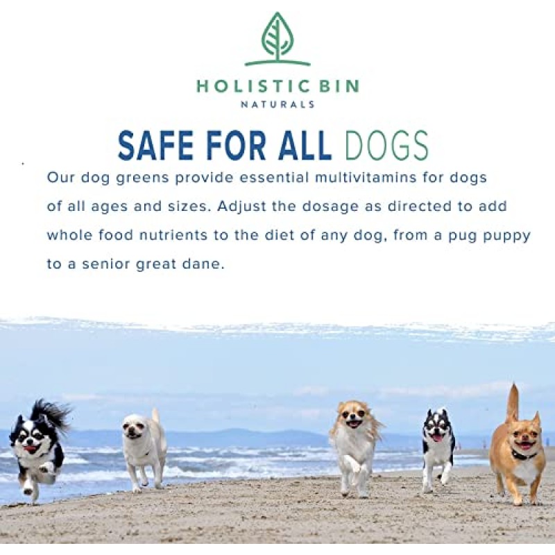 Holistic Bin의 Canine Super Greens | 해양 식물성 플랑크톤, 스피루리나, 클로렐라 및 발효 보리잎이 함유된 비건 반려견 영양 보충제 | 유기농 피부 및 코트 지원(50그램)