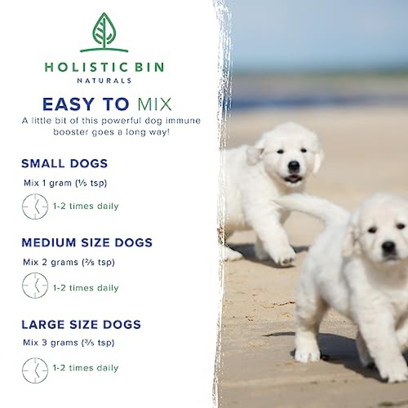 Holistic Bin의 Canine Super Greens | 해양 식물성 플랑크톤, 스피루리나, 클로렐라 및 발효 보리잎이 함유된 비건 반려견 영양 보충제 | 유기농 피부 및 코트 지원(50그램)