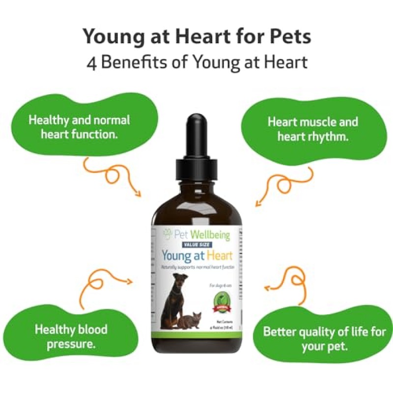 개와 고양이를 위한 Pet Wellbeing Young at Heart - 수의사 제조 - 심혈관(심장 및 순환계) 건강 지원 - 천연 허브 보조제 4oz(118ml)