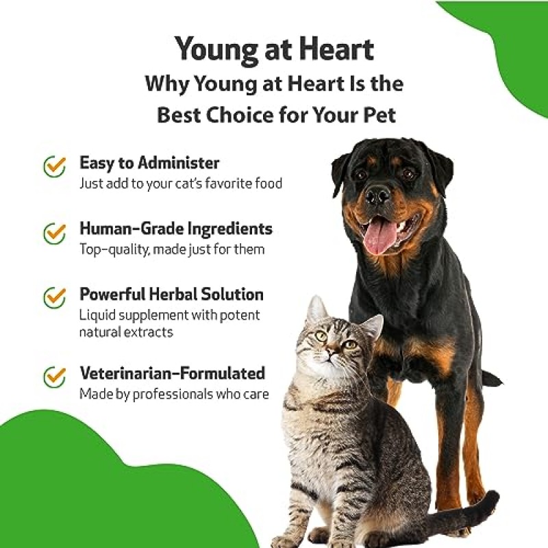 개와 고양이를 위한 Pet Wellbeing Young at Heart - 수의사 제조 - 심혈관(심장 및 순환계) 건강 지원 - 천연 허브 보조제 4oz(118ml)