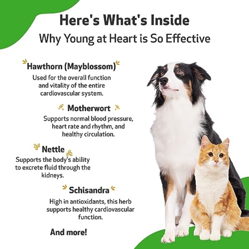 개와 고양이를 위한 Pet Wellbeing Young at Heart - 수의사 제조 - 심혈관(심장 및 순환계) 건강 지원 - 천연 허브 보조제 4oz(118ml)