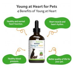 개와 고양이를 위한 Pet Wellbeing Young at Heart - 수의사 제조 - 심혈관(심장 및 순환계) 건강 지원 - 천연 허브 보조제 4oz(118ml)